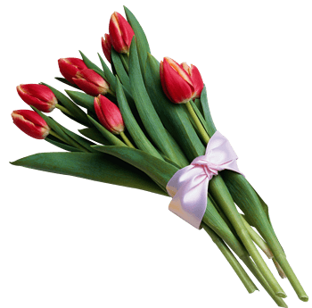 福建捷斯特閥門制造有限公司 福建捷斯特閥門制造有限公司